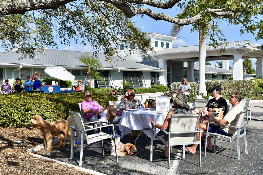 The stars and their owners relax after the show.