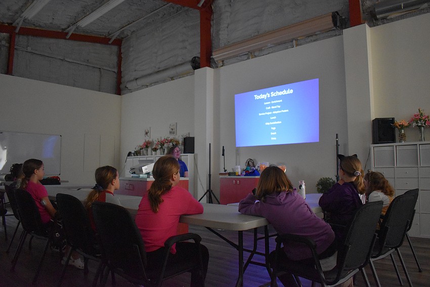 Kids start with an enrichment lesson on where cats like to be pets and different types of catnip to detect a healthy weight and different types of cat toys.