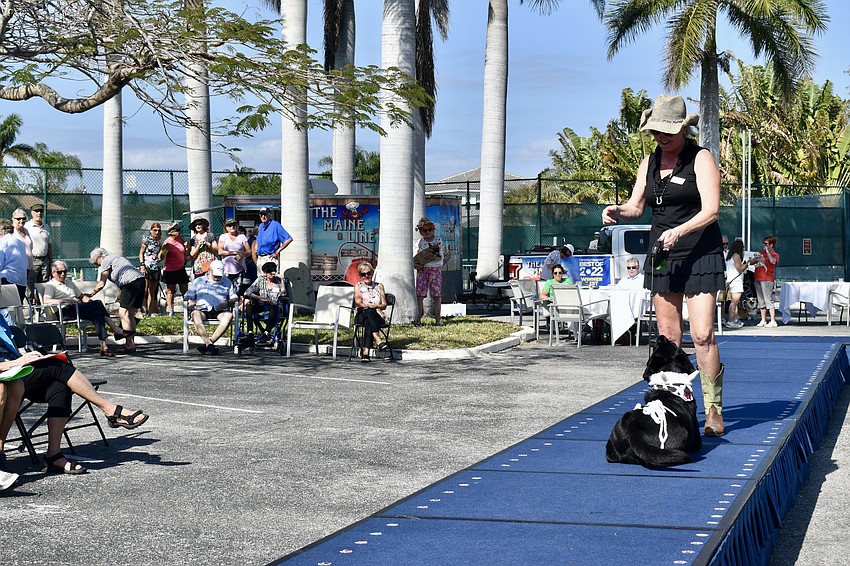 Jennifer Lackland's dog Luna stops to rest.