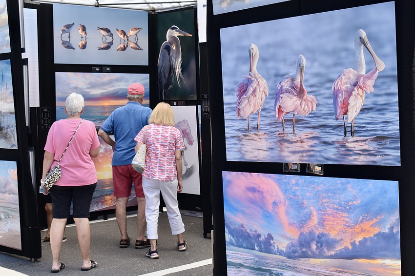 Photos, paintings, sculptures and more are on display at the Town Center Green.