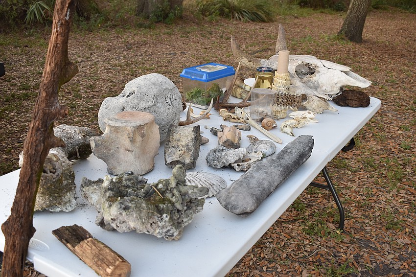 Joe Presley brought a collection of fossils and artifacts he had found over the years in Lakewood Ranch.