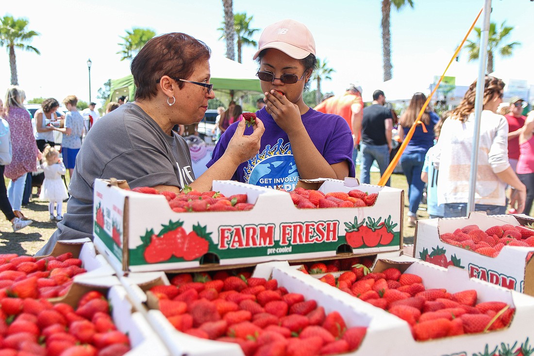 Palm Coast residents Kay Enea and Natalie, from the Buddy Walk Fun Coast Down Syndrome Association, enjoy fresh strawberries during the 2019 Strawberry Festival. File photo by Paige Wilson