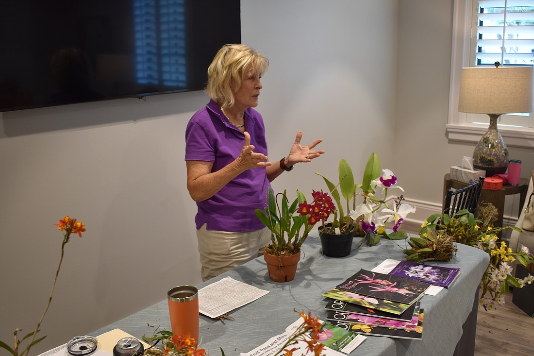Julie McClure, president of Manatee County Orchid Society, discusses the selection of plants she has brought to the event.