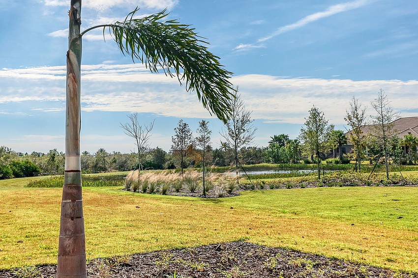 The lot is more than an acre in case a sandlot football game breaks out.