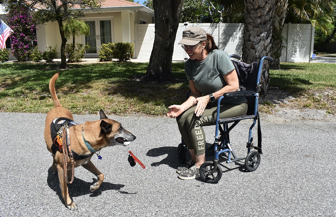 Sandra LaFlamme uses a wheelchair to demonstrate the abilities of Cowgirl, a service dog.