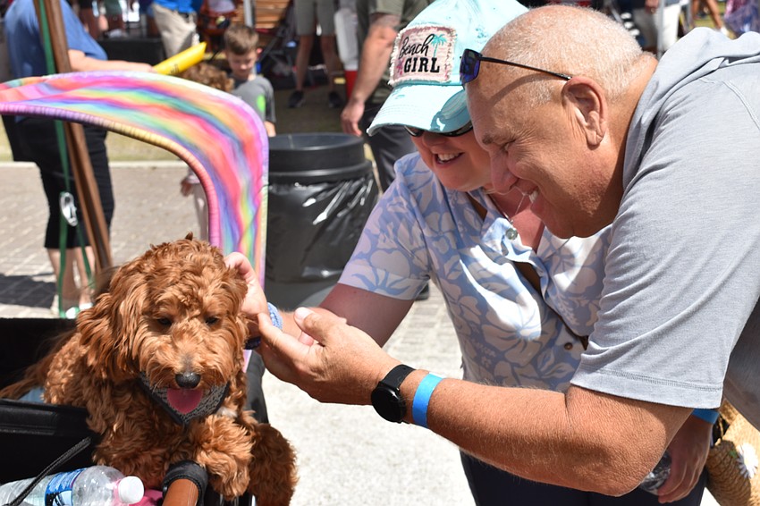 Venice's Caitlin and Michael Rennell meet Noodles, a Goldendoodle who is part of the family of Bradenton's Veronica and Neil Anderson.