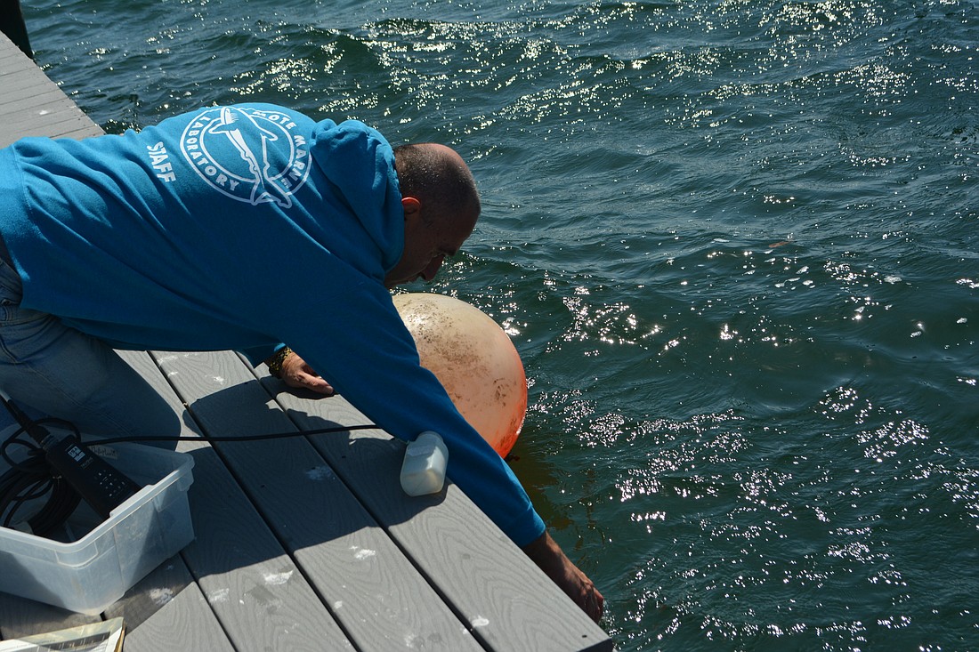 Senior Biologist Valeriy Palubok samples water from a dock at Mote Marine Laboratory and Aquarium.
