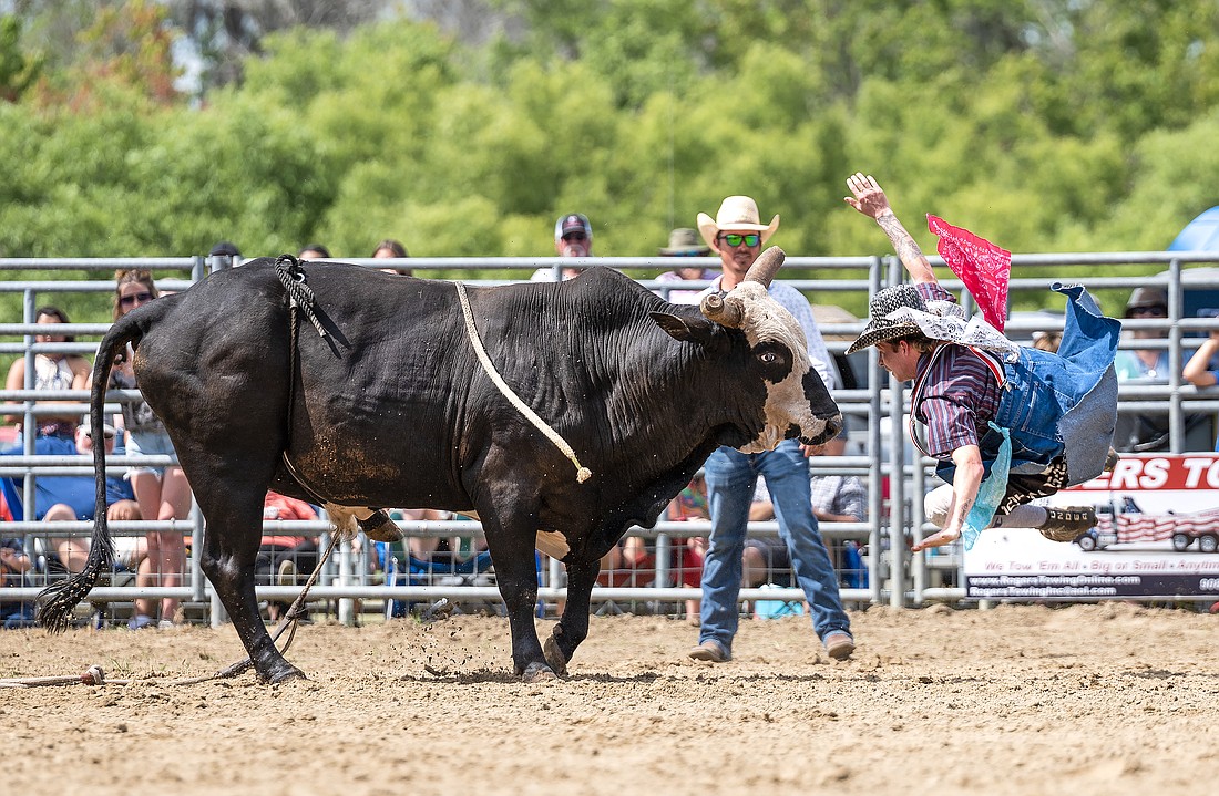 Bull fighter Micah Avera faces a bull after distracting him from a rider at the 66th annual Cracker Day. Photo by Michele Meyers