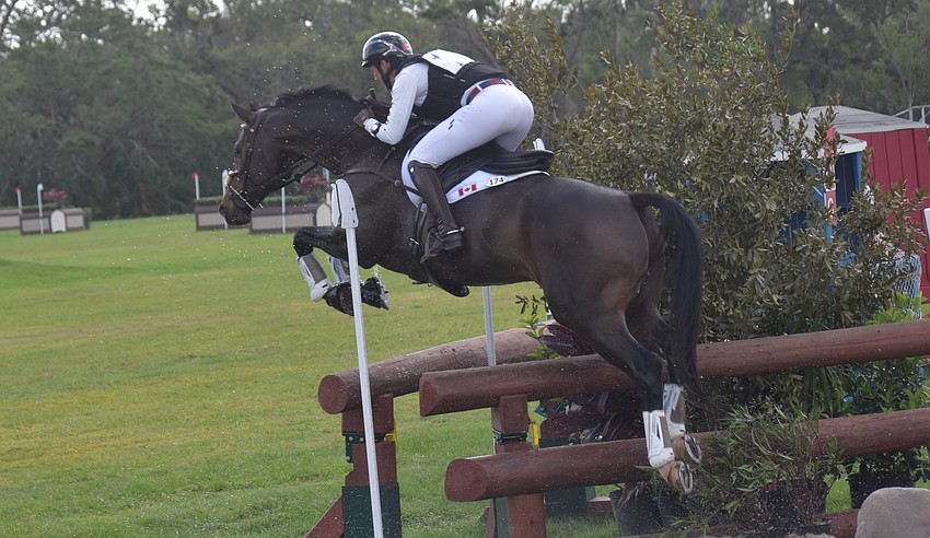 The course at TerraNova included some interesting jumps as Colleen Loach and Golden Eye found out.