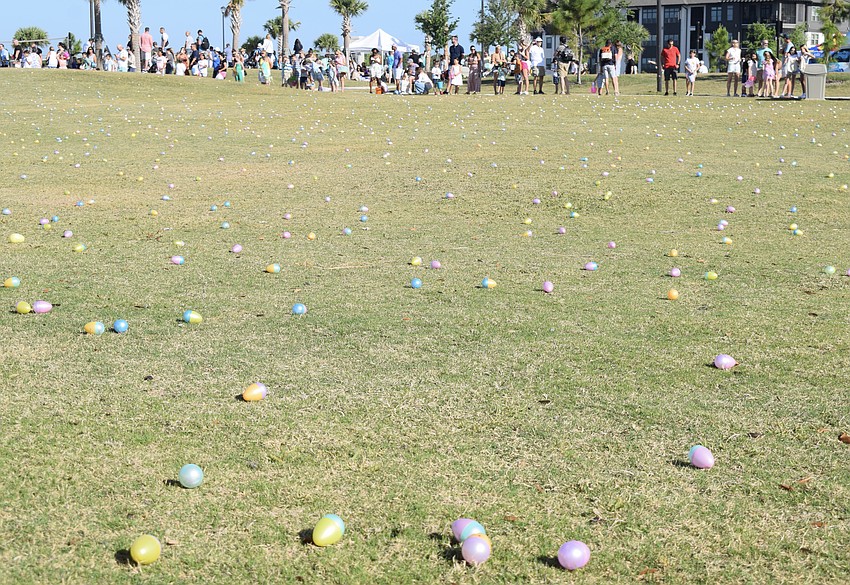 Eggs are spread throughout the field as families with children who are 6 and older line the edge of the field in preparation for the hunt.