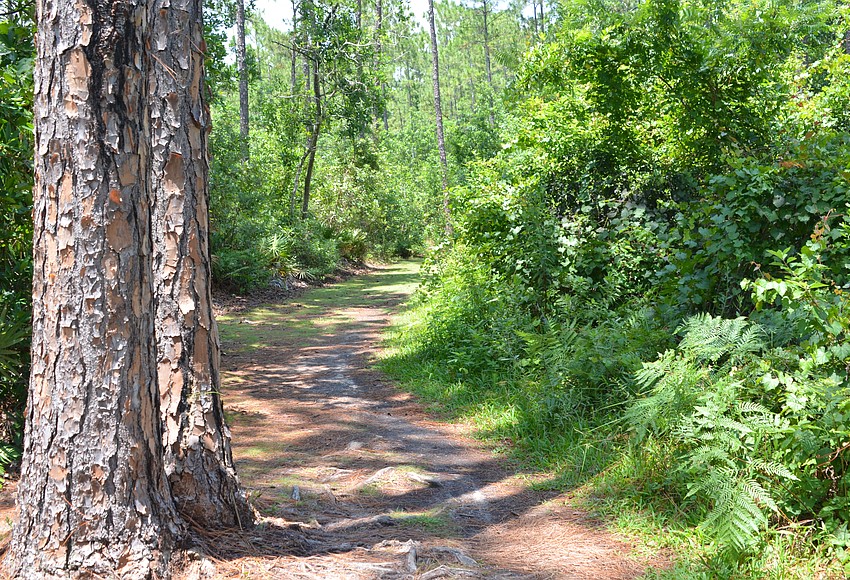 Celebrate Earth Week at TibetButler Preserve West Orange Times