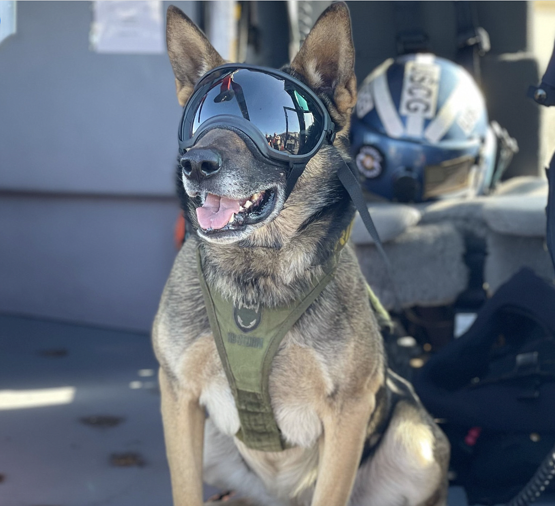 FCSO's K-9 Axle made it to the final four of the Florida Sheriffs Associations K-9 March Madness competition. Image courtesy of FCSO.