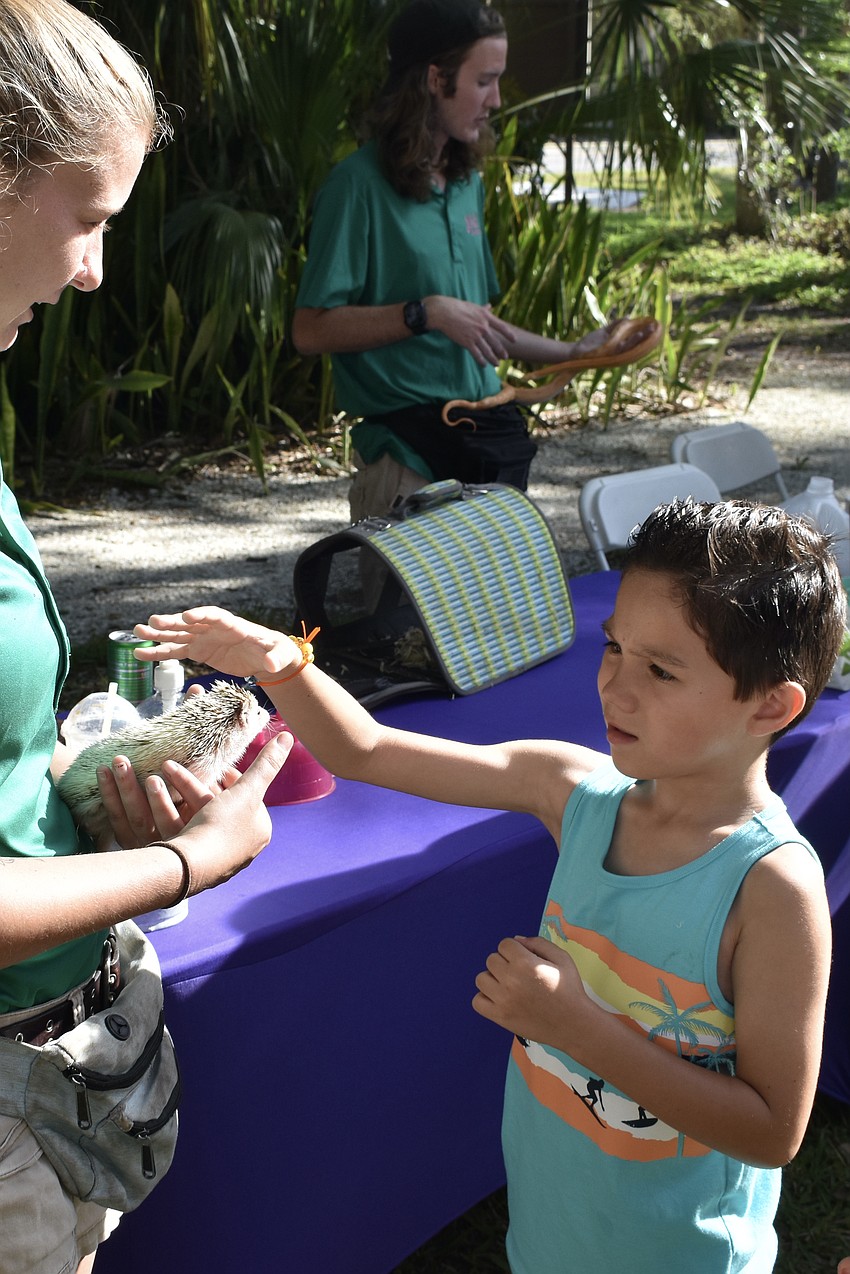 Becca Powell of Sarasota Jungle Gardens presents a hedgehog from Sarasota Jungle Gardens to 6-year-old Bradley Wade.