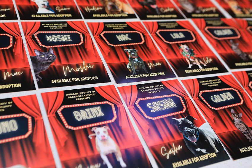 Guests looked at animals available for adoption.