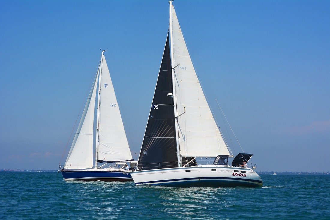 Quinessential and Orion are neck and neck during the race.