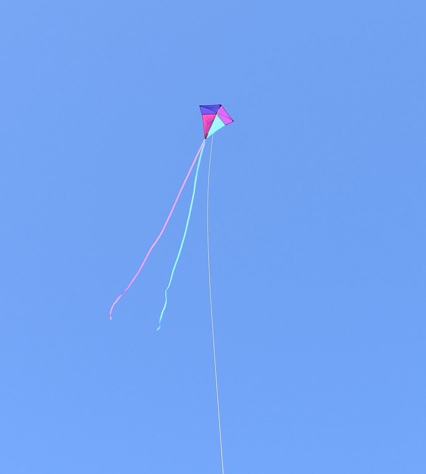 The Fly a Kite day at the Sarasota Polo Club on Sunday raised money for the Children's Cancer Center.