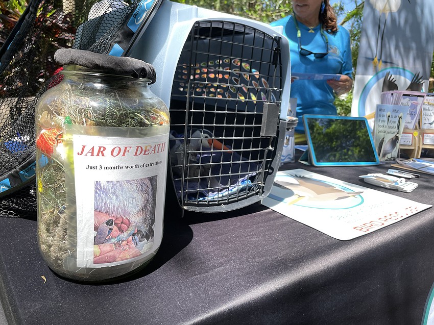 Save Our Seabirds educated visitors about the importance of rescuing injured birds.