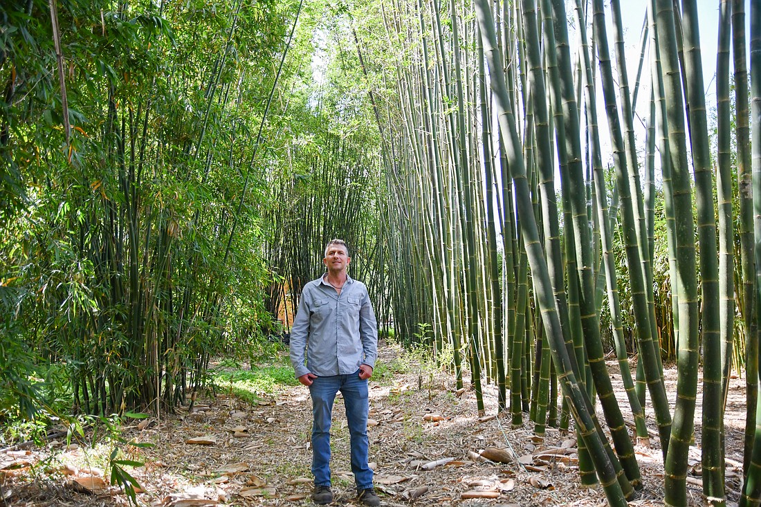 The Bamboo Man