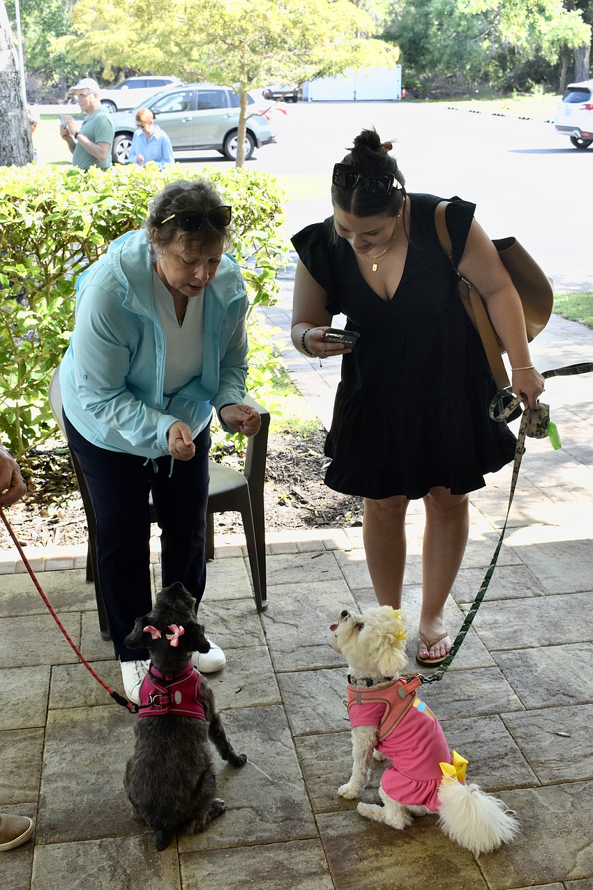 Karen Hertzfeld plays with her dog Molly, while her daughter Melissa Meshil plays with her dog Dolly.