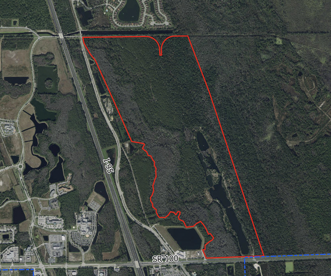 The 505 acres of the Coquina Shores DRI. Image from City Council meeting documents.