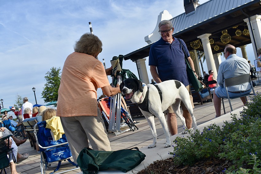 Lucy waits patiently while University Park residents Eileen and Merv Hamburg set up their seats.
