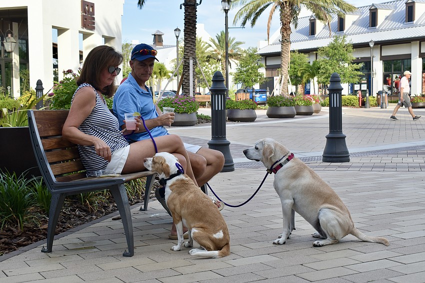 Country Club East residents Deanne and Dan Stanek enjoy the music and cocktails, while Mia and Bailey await their next treats at Waterside Place.