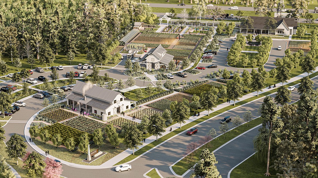 An aerial rendering view of Angeline Farm by Metro Development Group in Angeline, a Pasco County master-planned community.