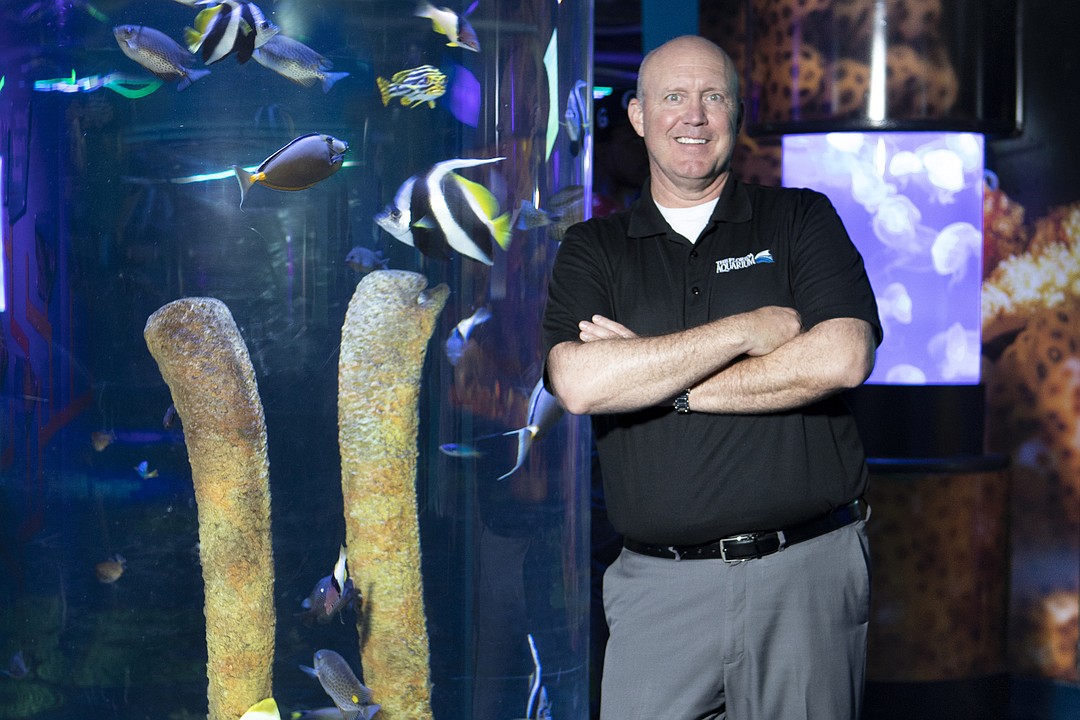 Florida Aquarium launches underwater walking tours - That's So Tampa