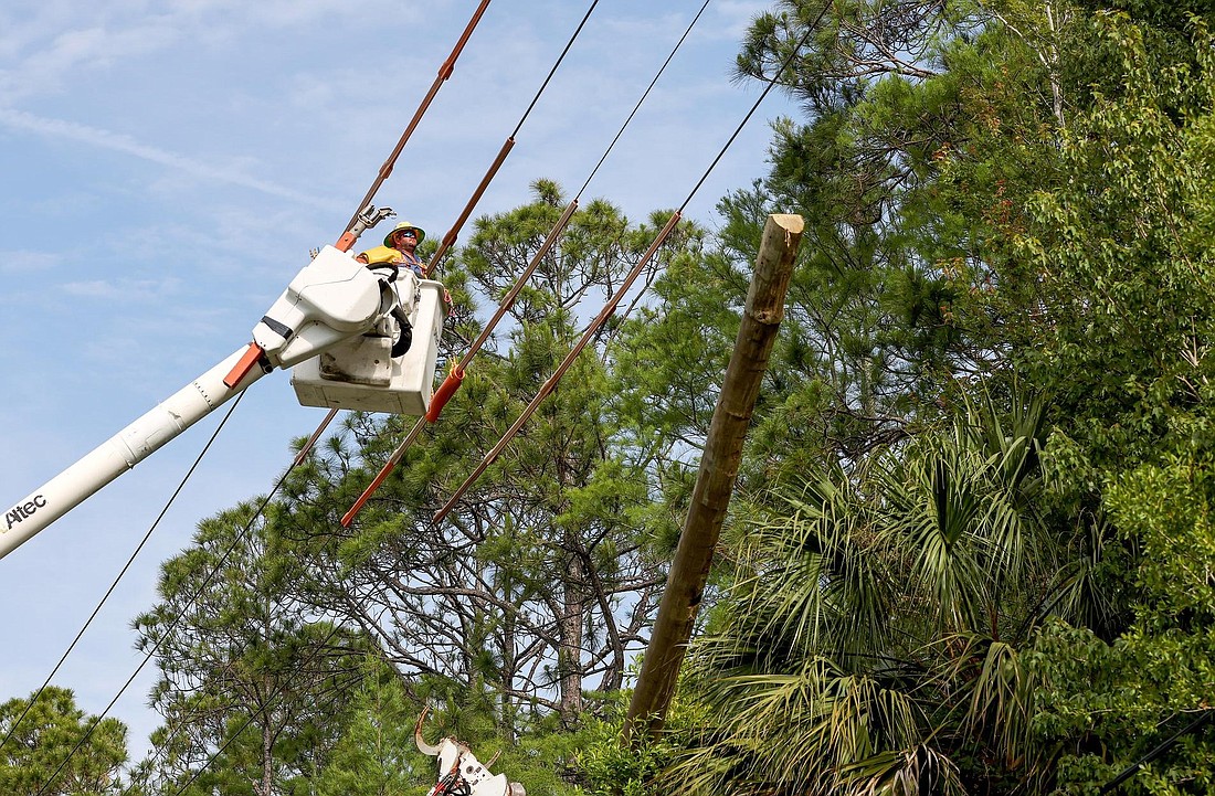 FPL crews harden power poles in Central Florida to improve resiliency during hurricanes and severe weather and also enhance reliability during day-to-day conditions. Courtesy photo