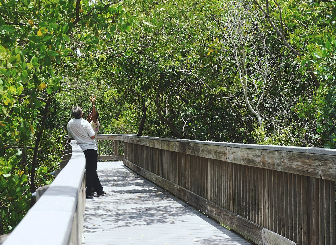 Weedon Island Nature Preserve in northeast St. Petersburg is one of the city's many popular parks.