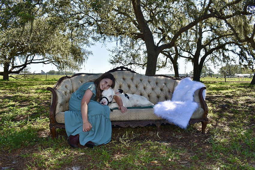 Charlotte Rivard has a photoshoot with 3-week-old calf Waylon. Her mom drove her down from Clearwater after finding Dakin Images on Facebook.