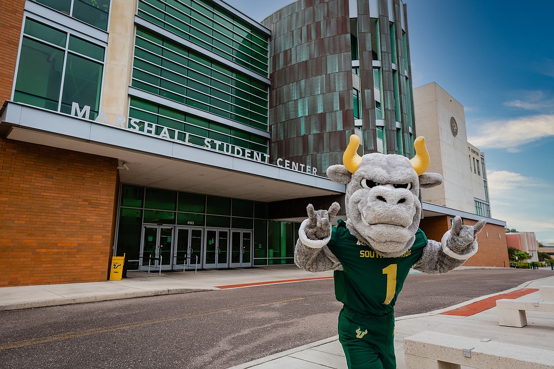 Rocky the Bull, seen here at the University of South Florida's Marshall Student Center, and all his USF friends are celebrating the school's invitation to join the prestigious Association of American Universities.