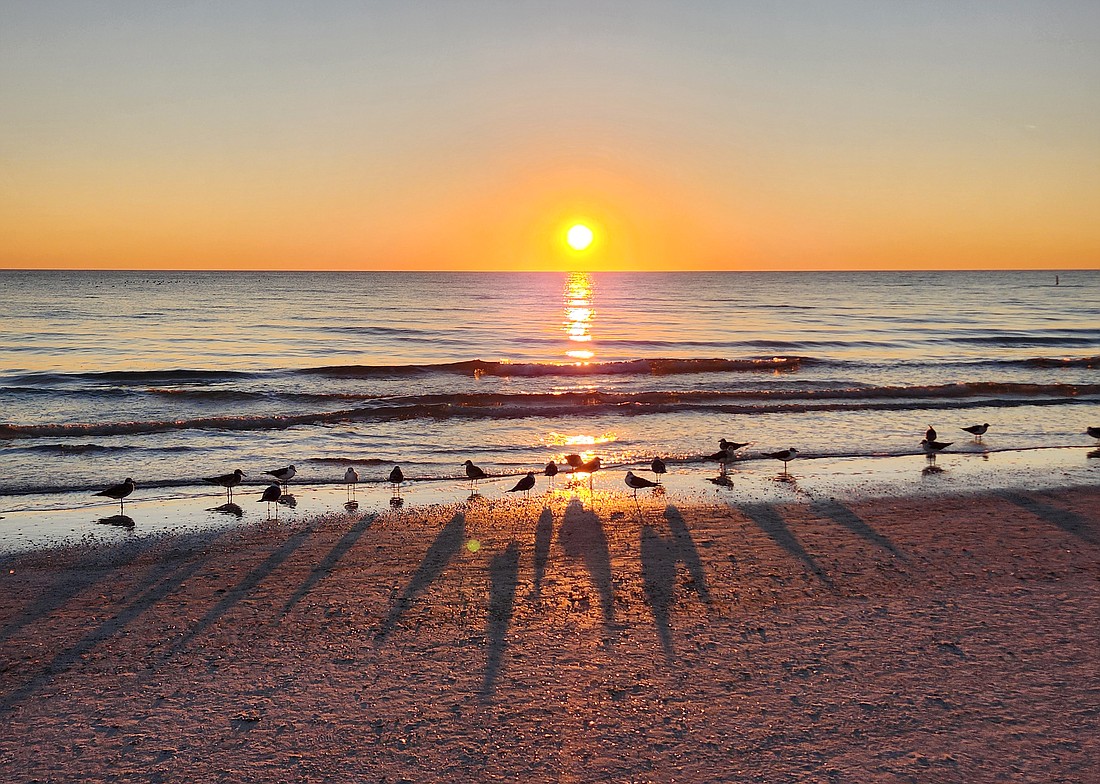 Sarasota's beaches were among the notable features highlighted by the U.S. News & World Report ranking.