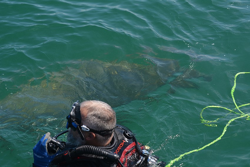 A manatee joined in on the cleanup.