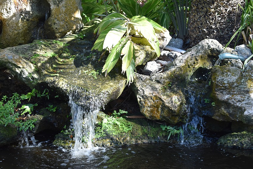 Guests also took time to explore the gardens within the venue.