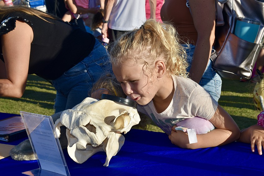 Lakewood Ranch resident Lesalynn Richardson gets a closer look at a manatee skull.