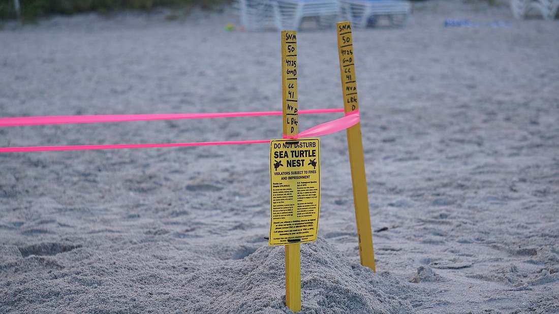 Sea turtle nests are marked with bright yellow stakes connected with fluorescent tape. This is meant to protect them from beach rakers and everyday beachgoers.