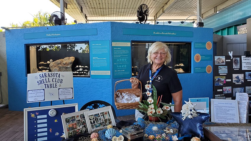 Donna Krusenoski of the Sarasota Shell Club