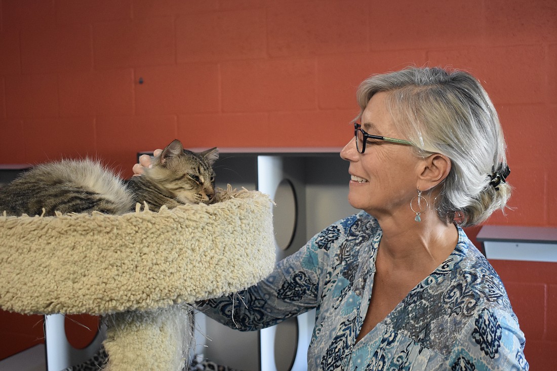 Susan Hanus, executive director of Cat Depot, pets Rascal.