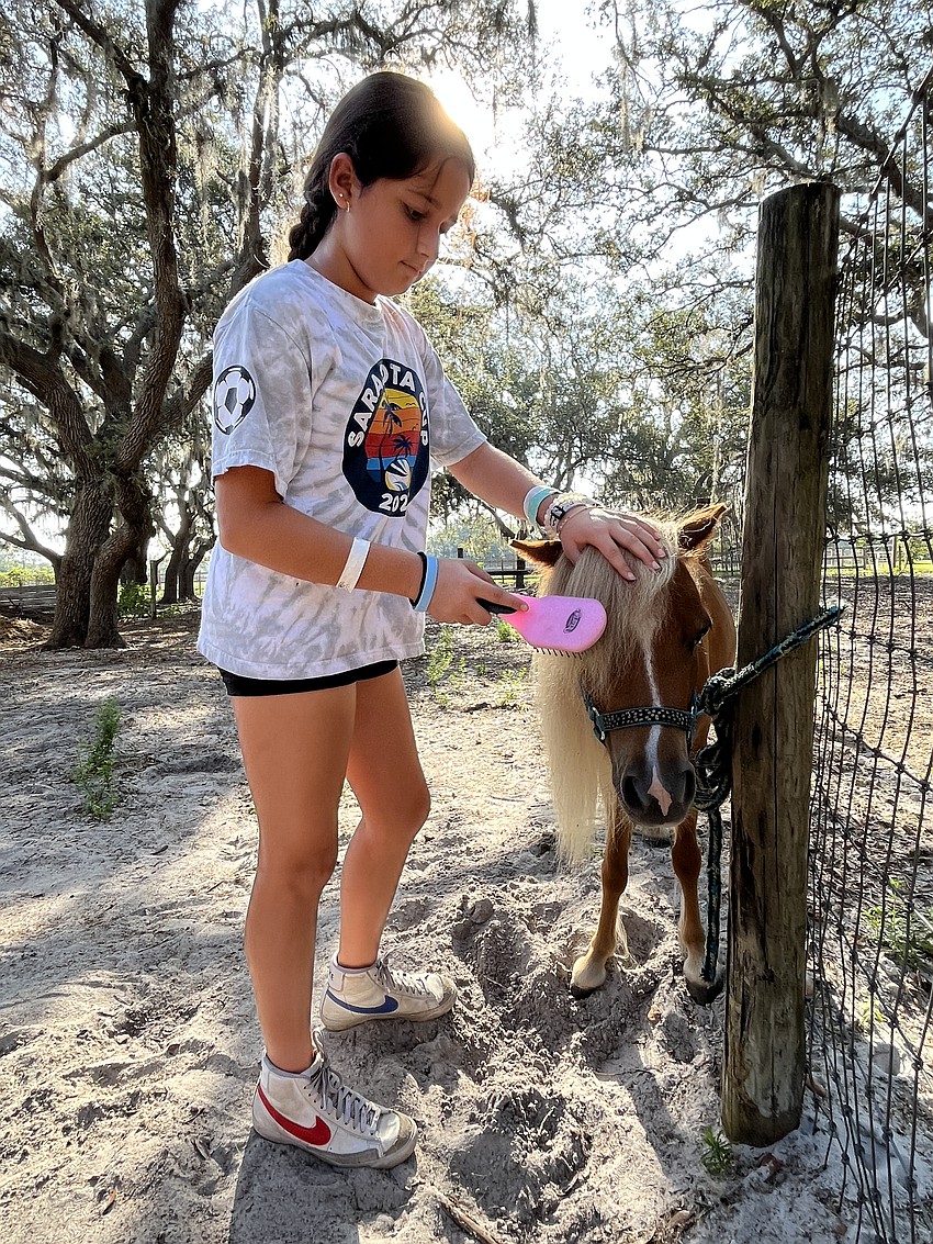 Maya Petricca, who is 10, takes her time grooming Summer, starting with her mane before combing her tail.