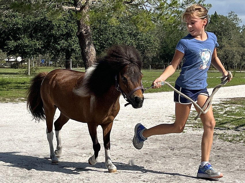 Julia Hill, who is 9, takes Perfection for a run. 