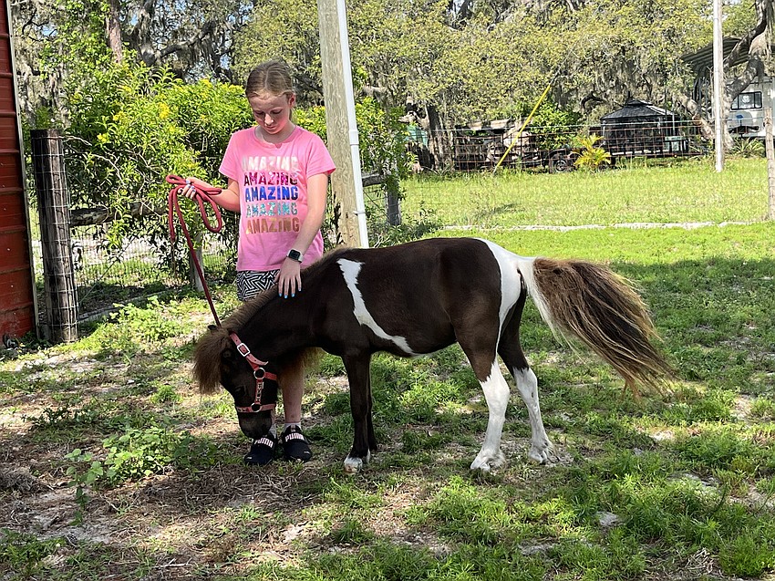 Penny Wells, who is 9, walks Sailor around. She says she loves grooming and walking Sailor.