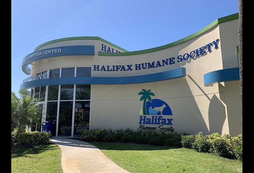 Halifax Humane Society to participate in Petco Love Florida Mega ...