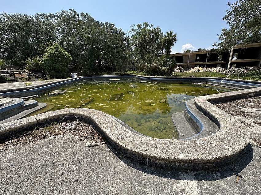 The algae-filled pool at the former Thunderbird Motor Hotel.