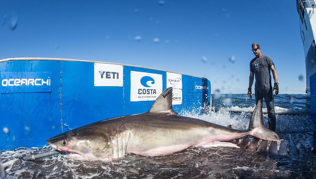 OCEARCH, will receive $5 million from the state of Florida for the OCEARCH Global Headquarters in Mayport.