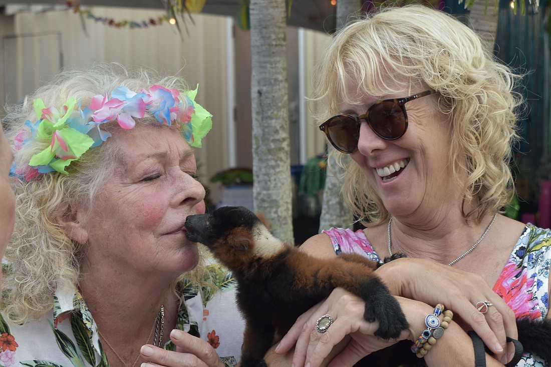 Big Cat Habitat founder Kay Rosaire and employee Nancy Nallin allow one of the resident lemurs to show its appreciation.