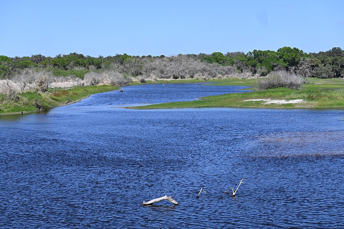 Myakka River State Park gives people an opportunity to see a variety of wildlife while exploring its trails, boating, fishing, birding, horseback riding, paddling and more.