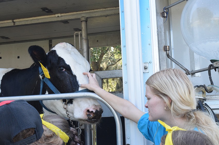 Lucy loves getting attention from campers and counselors like Danyl Young, a rising sophomore.