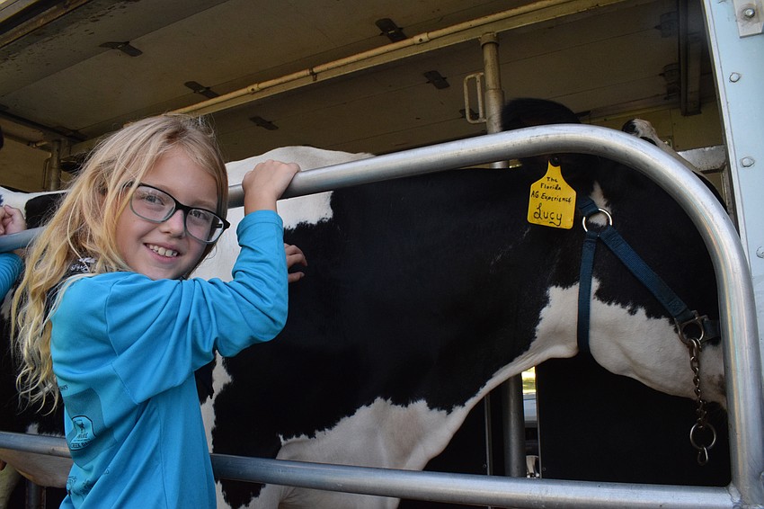 Peyton Pressley, a rising third grader, meets Lucy, a Dakin Dairy cow. She learned how to milk cows.
