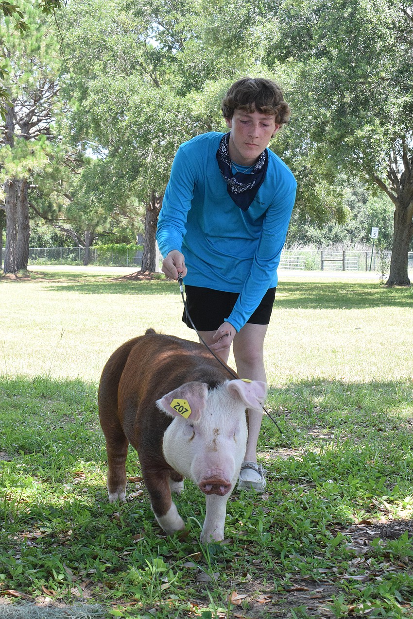 Byron Smith, a rising junior, takes OD for a walk before letting campers interact with her.